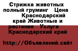 Стрижка животных, полный груминг › Цена ­ 800 - Краснодарский край Животные и растения » Услуги   . Краснодарский край